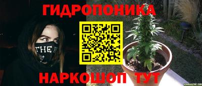 бошки Краснокаменск