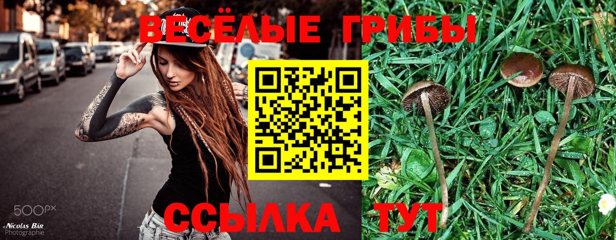 Галлюциногенные грибы мухоморы Ульяновск