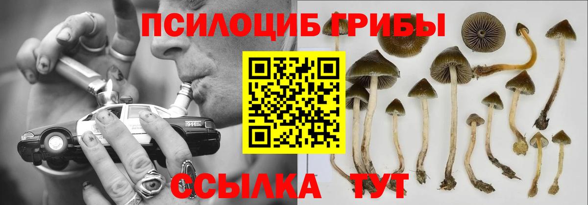 Псилоцибиновые грибы прущие грибы  Галлюциногенные грибы Psilocybe  Ульяновск  цены   Вход с VPN 